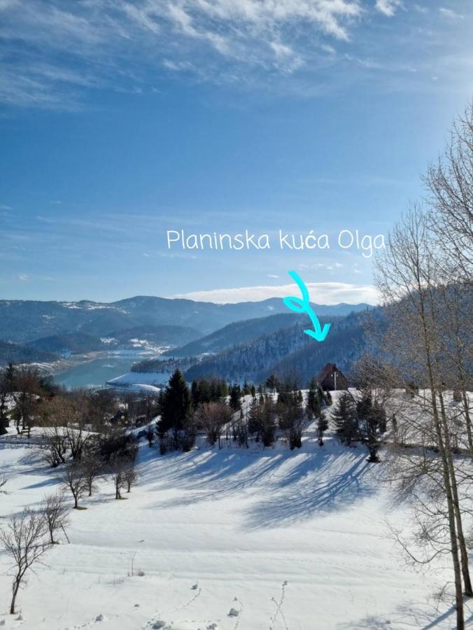 Planinska Kuca Olga-Tara Villa บายินา บาชตา ภายนอก รูปภาพ